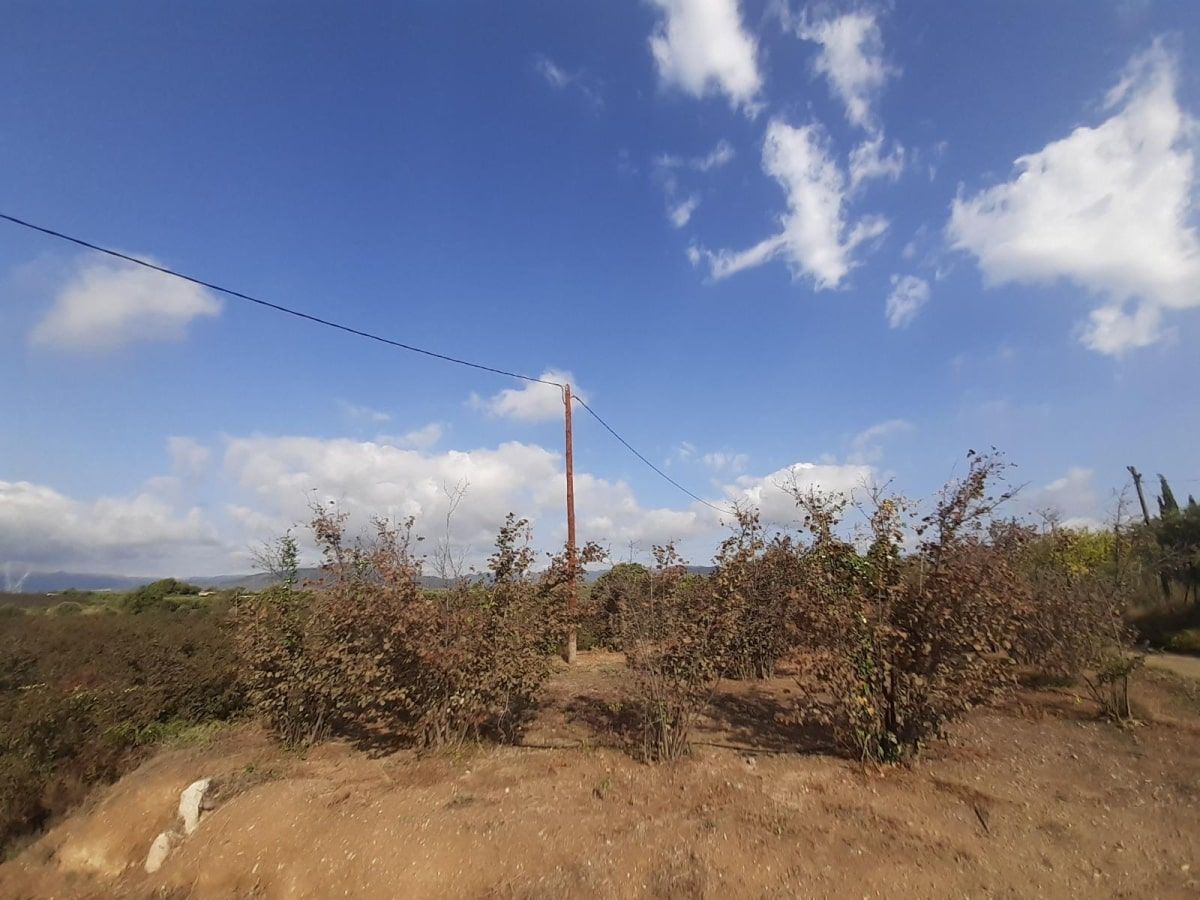 Cablejat elèctric al seu pas per Riudoms Cablejat elèctric al seu pas per Riudoms