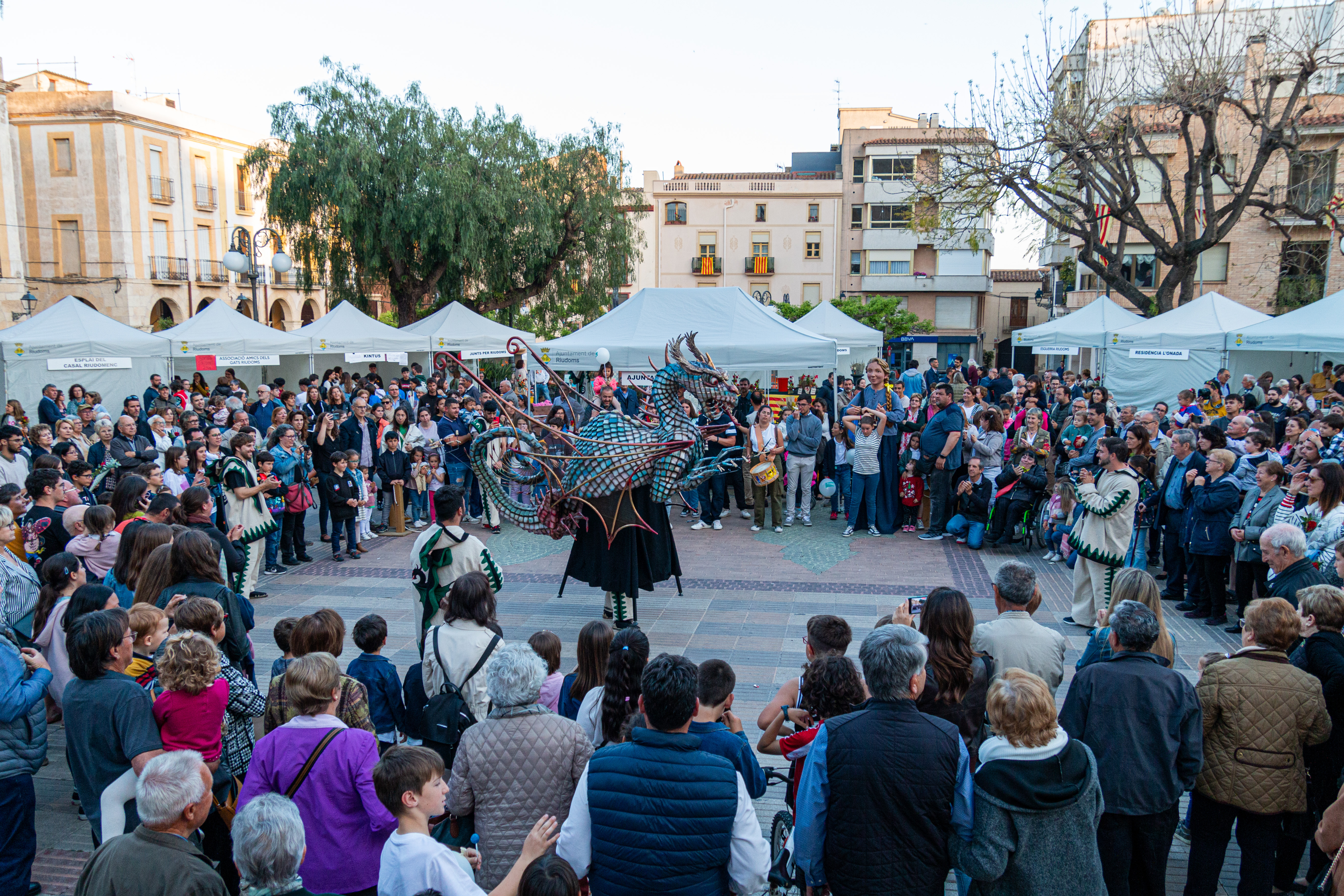 El nou element festiu, el Dràcom, ballant al centre de la plaça