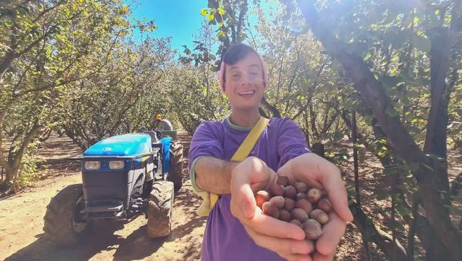 El Titó, durant l'excursió a plegar avellanes El Titó, durant l'excursió a plegar avellanes