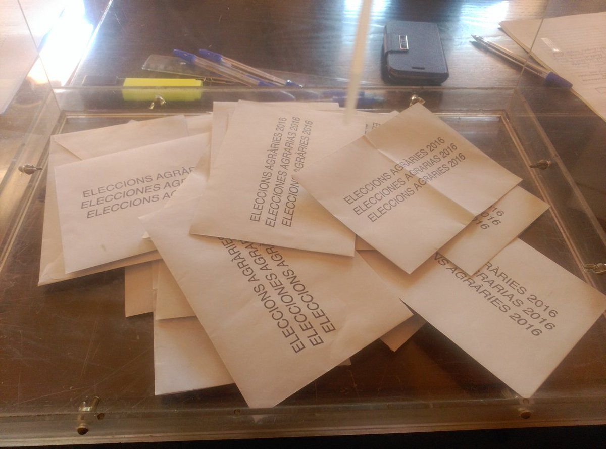 Membres d’Unió de Pagesos col·locant propaganda electoral (FOTO: Jesús Torres)