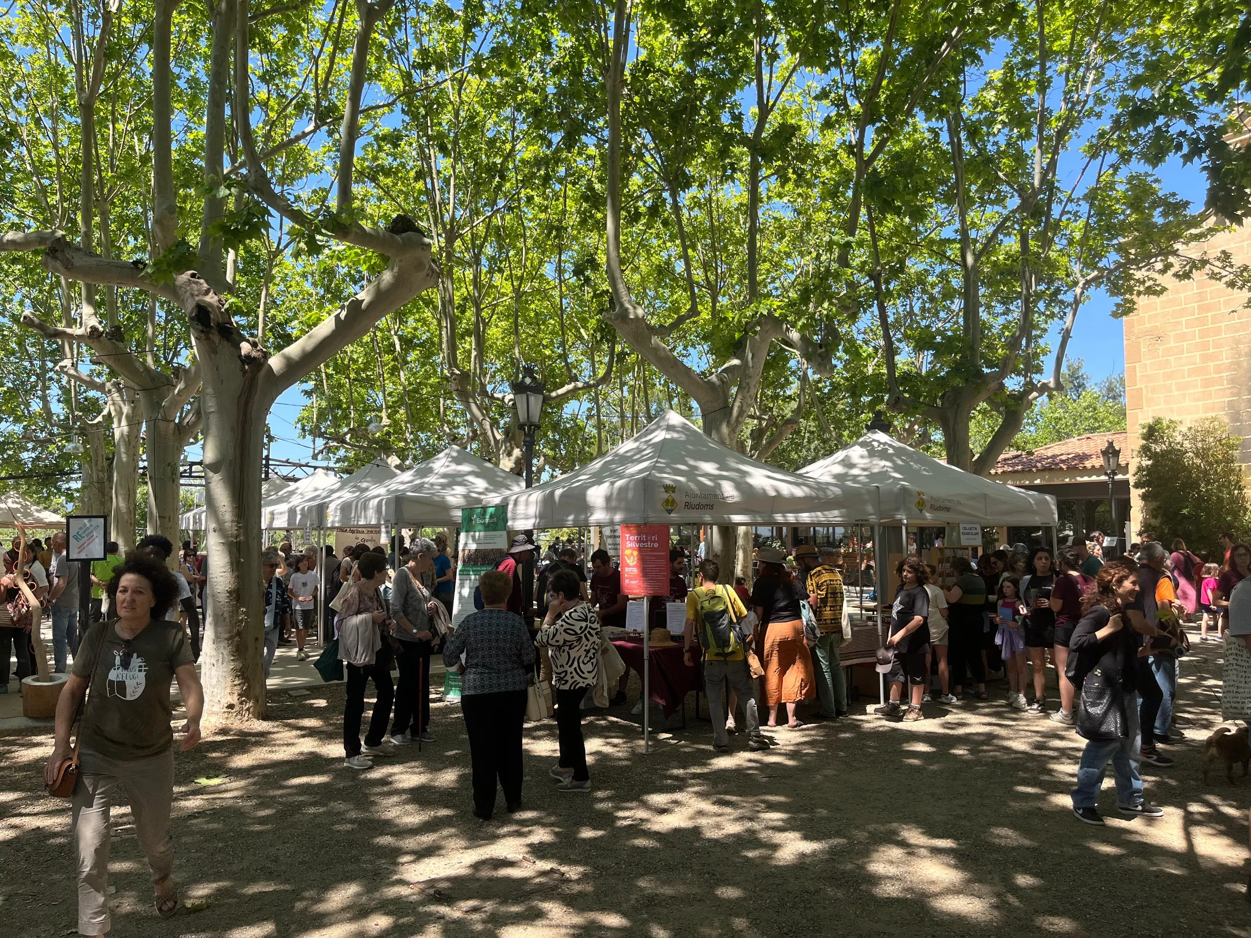 El parc de Sant Antoni va acollir, aquest cap de setmana, la fira 'Territori silvestre' El parc de Sant Antoni va acollir, aquest cap de setmana, la fira 'Territori silvestre'