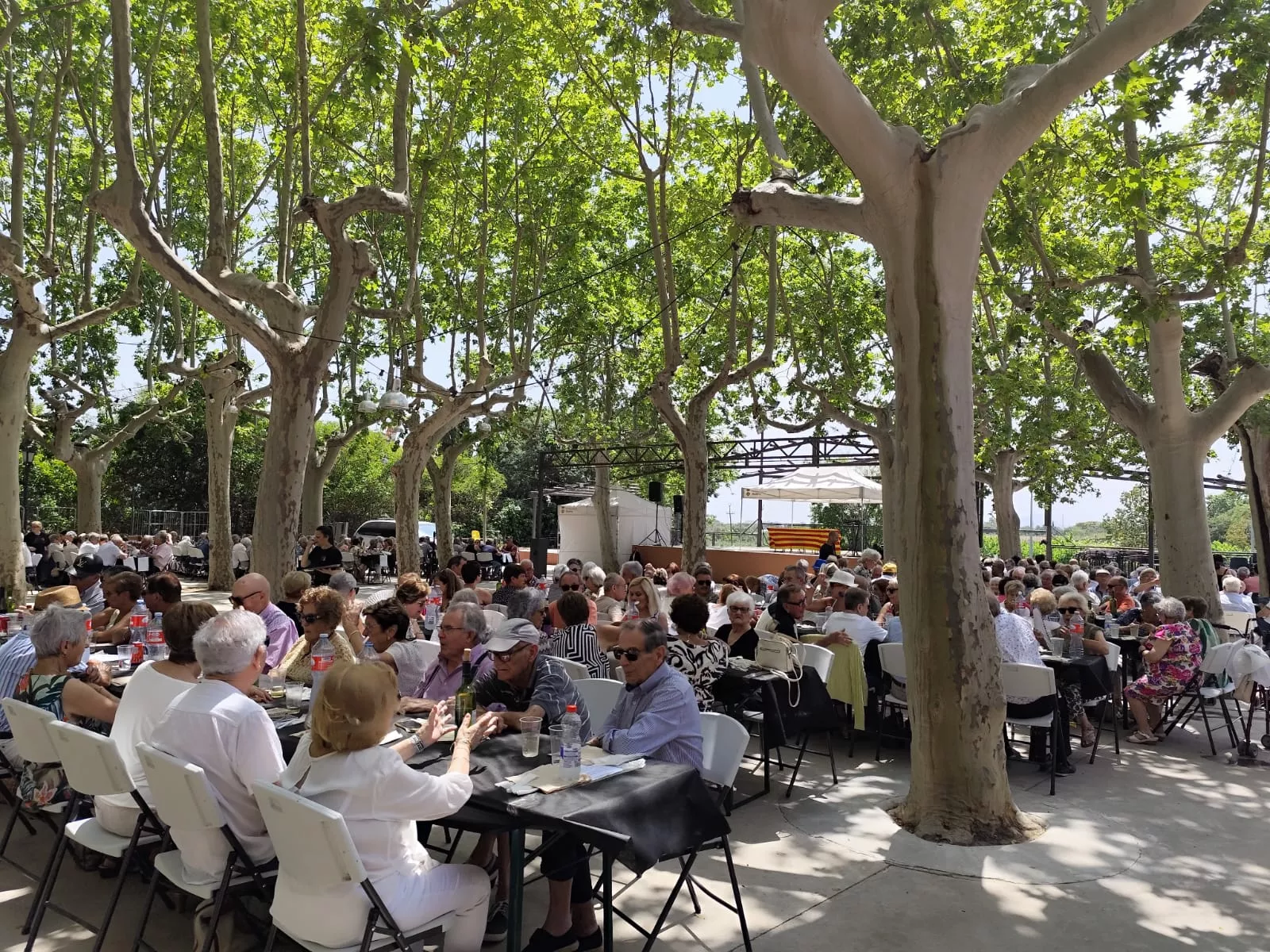 WhatsApp Image 2025 06 18 at 13.11.02 WhatsApp Image 2025 06 18 at 13.11.02