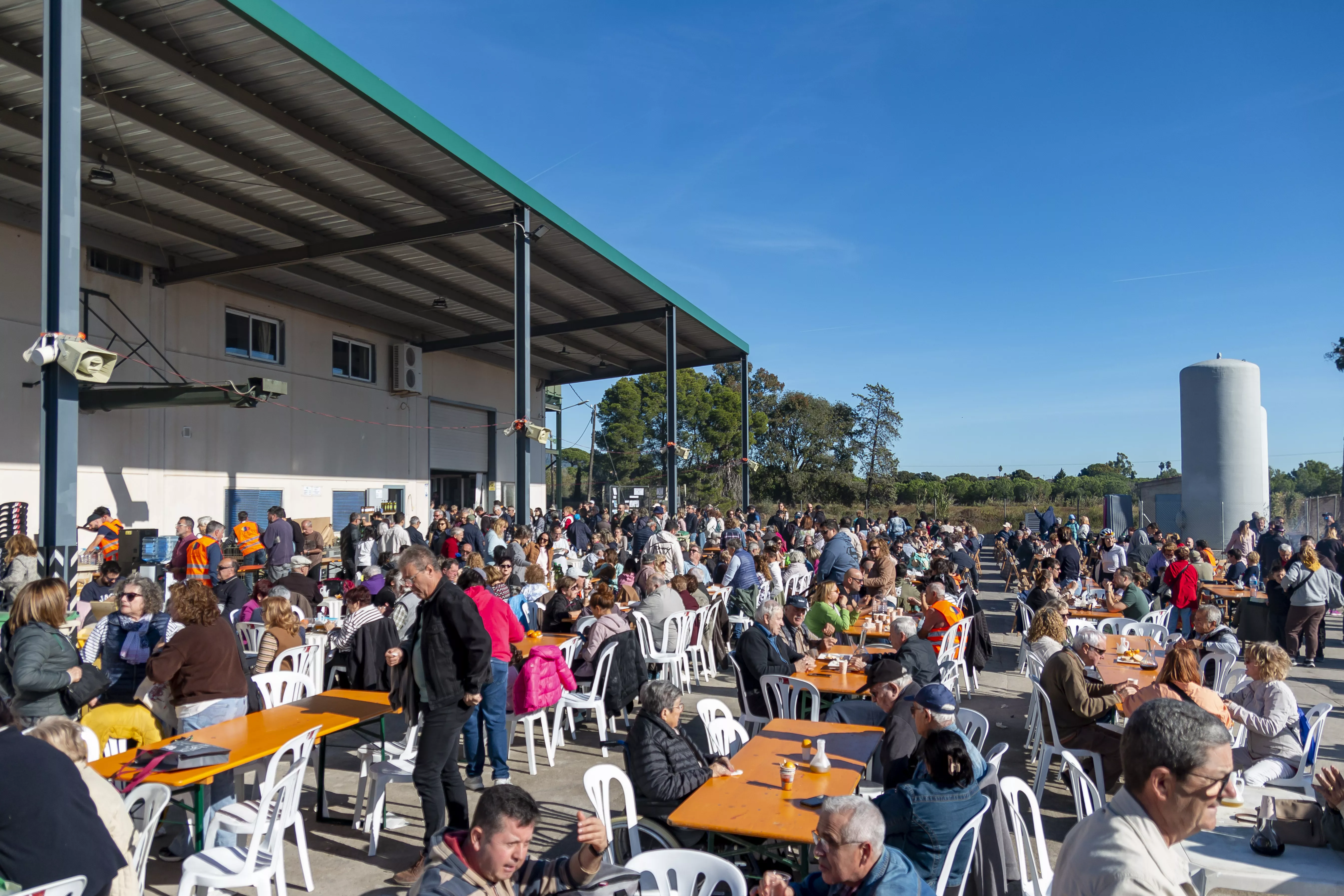 La Festa de l'Oli, que es va fer el 9 de novembre. FOTO: Carles Viñuales
