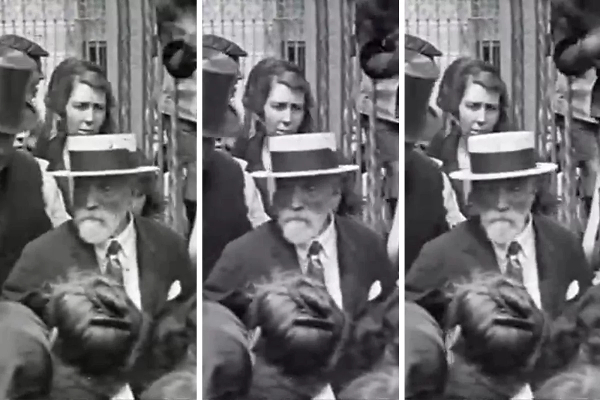 Fotogrames del vídeo. FOTO: @efemarq