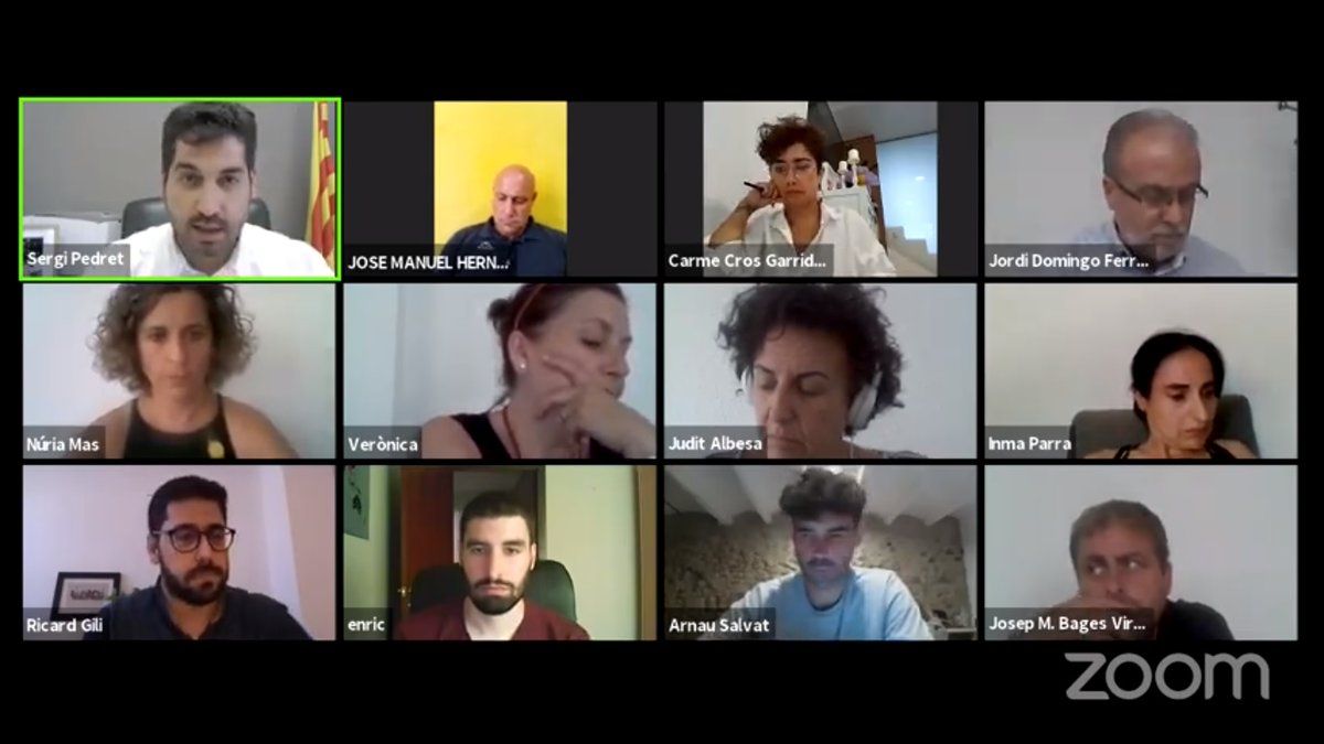 Regidors participant en el ple telemàtic (FOTO: Cedida)