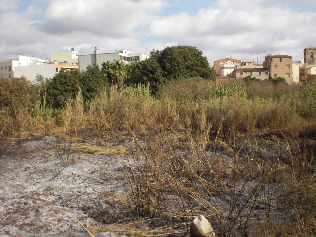 El lloc de l'incendi després del foc (FOTO: Gilbert Molons)