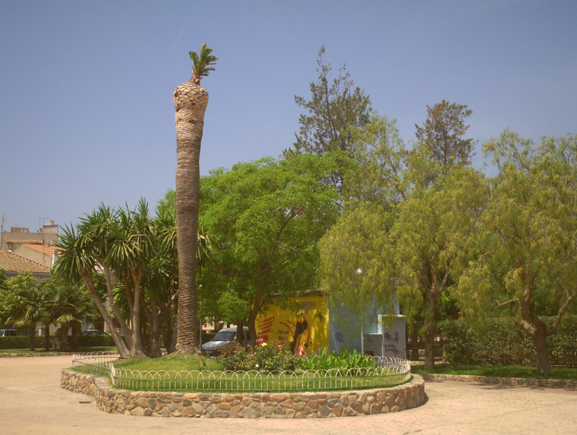 La Palmera s'està recuperant (FOTO: Gilbert Molons)