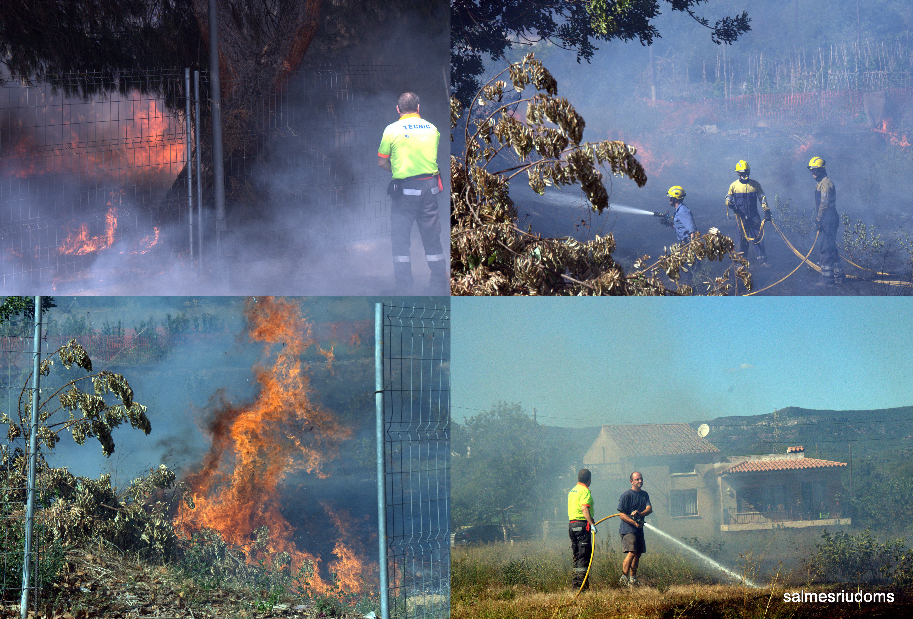 El foc ha cremat una àrea de matolls (FOTO: Salvador Mestre Domingo)