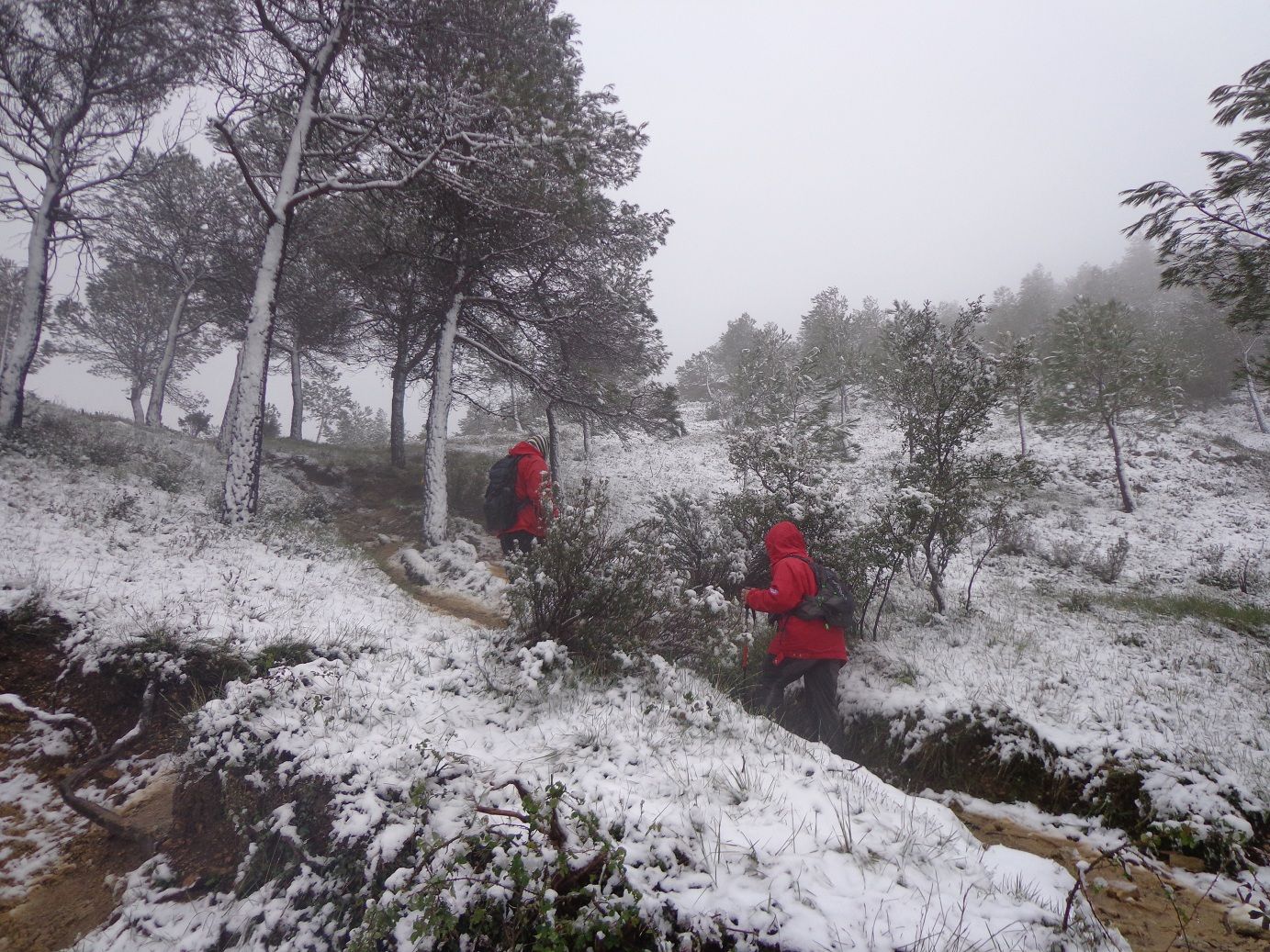 Participants al tram nevat del Coll Roig (FOTO: Jesús Torres)