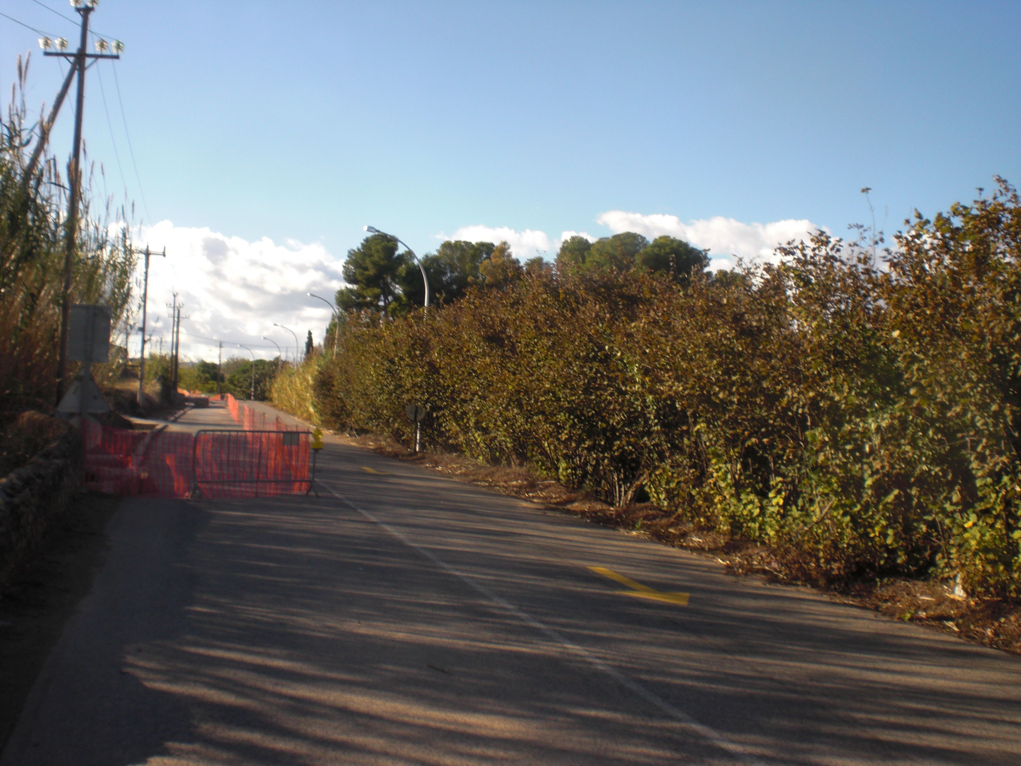 Senyalització provisional (FOTO: Gilbert Molons)